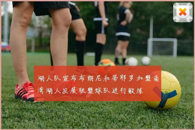 湖人队宣布布朗尼和蒂耶罗加盟南湾湖人发展联盟球队进行锻炼