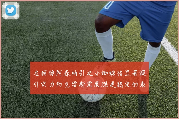 名宿称阿森纳引进小蜘蛛将显著提升实力约克雷斯需展现更稳定的表现