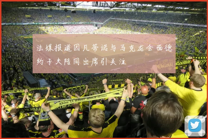 法媒报道因凡蒂诺与马克龙会面德约卡夫陪同出席引关注